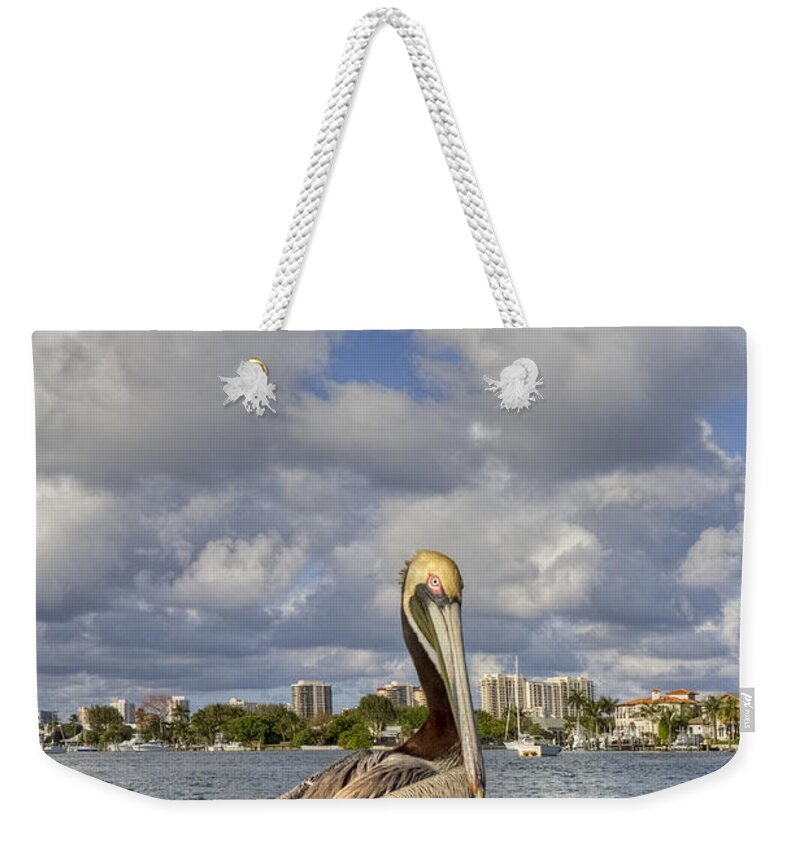 Bird Weekender Tote Bag featuring the photograph Head in the Clouds by Debra and Dave Vanderlaan