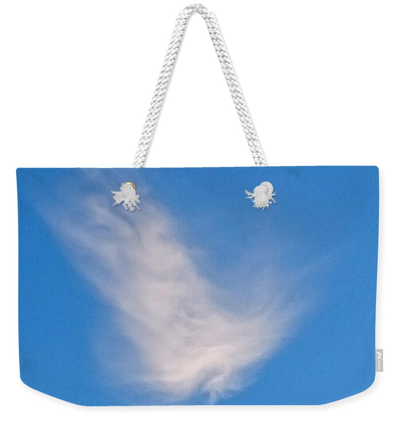 Heart Eagle Weekender Tote Bag featuring the photograph Heart eagle by Heidi Sieber