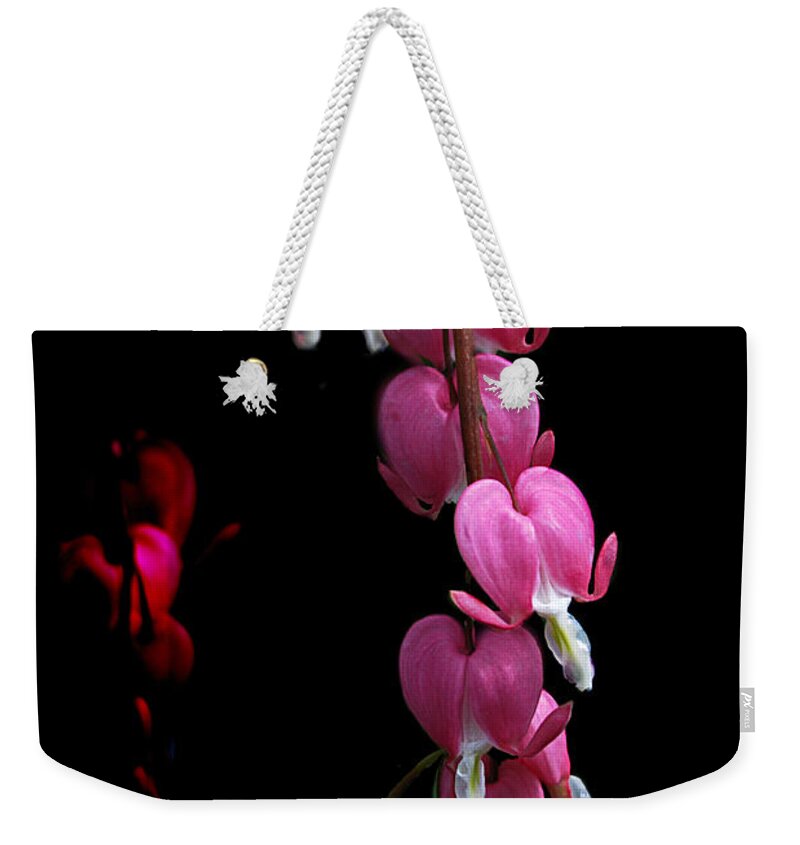 Flowers Weekender Tote Bag featuring the photograph Hearts in the Dark by Sue Capuano
