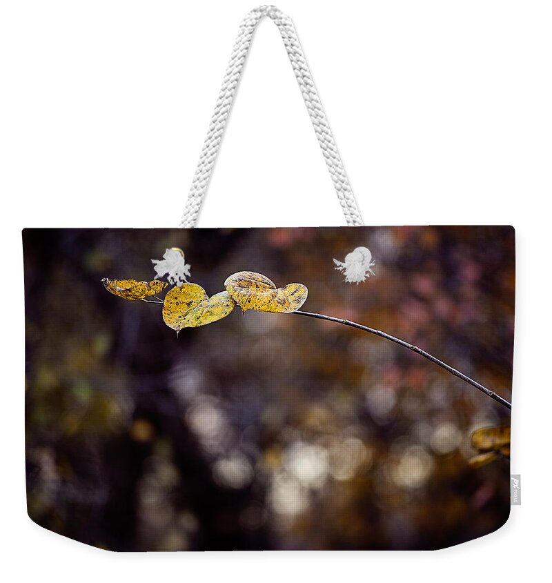 Autumn Weekender Tote Bag featuring the photograph Hearts on a branch by Toni Hopper