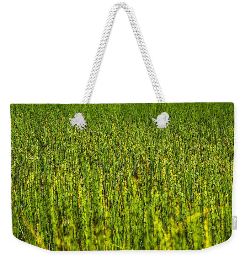 Blade Weekender Tote Bag featuring the photograph Heather Lake Grass 2 by Pelo Blanco Photo