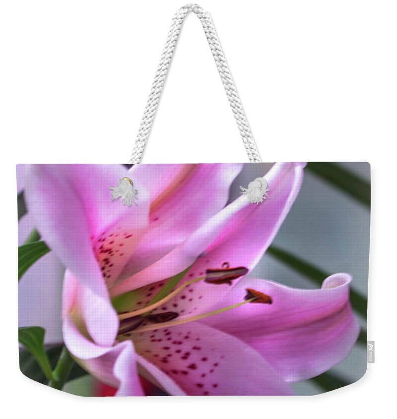 Lily Weekender Tote Bag featuring the photograph Heavenly Pink Lily by Carol Senske