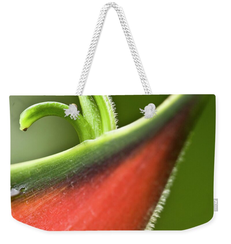 Heiko Weekender Tote Bag featuring the photograph Heliconia orthotricha by Heiko Koehrer-Wagner
