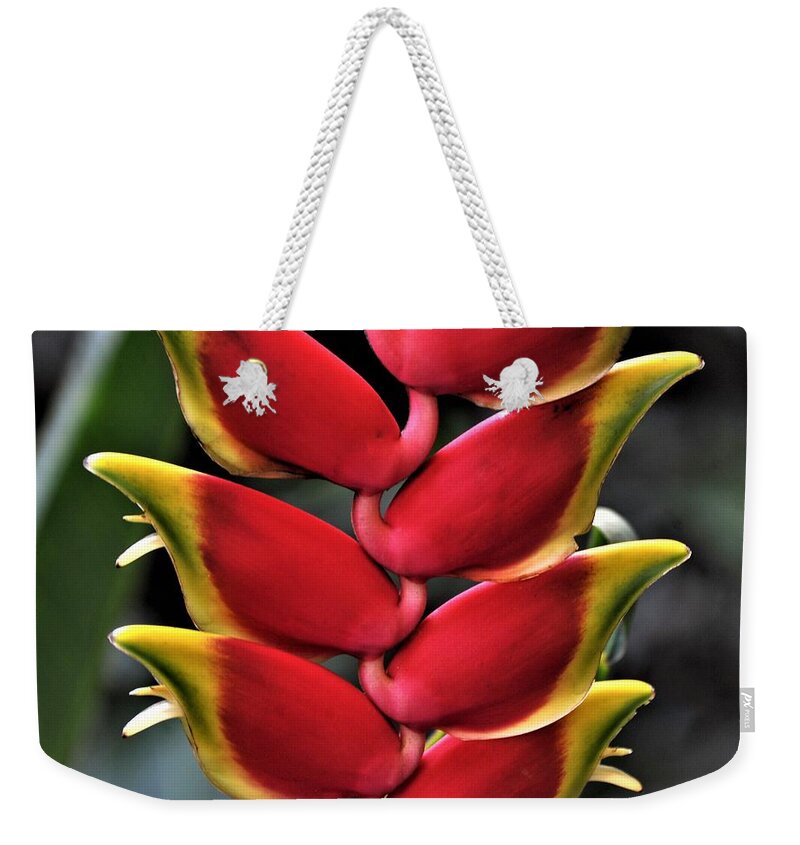 Heliconia Weekender Tote Bag featuring the photograph Heliconia Rostrata by Heidi Fickinger