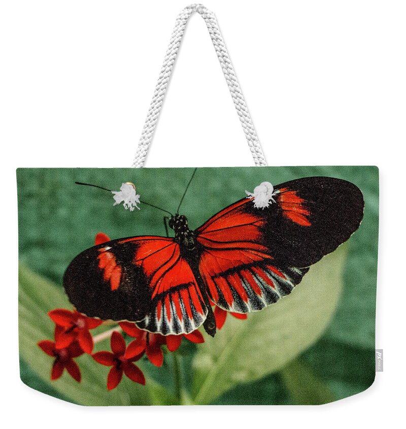 Heliconius Erato Weekender Tote Bag featuring the photograph Heliconius Erato, Red Postman Butterfly by Venetia Featherstone-Witty