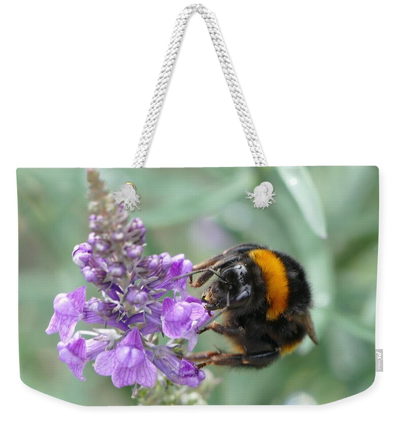 English Lavender Weekender Tote Bag featuring the photograph Hello Flower by Ivana Westin