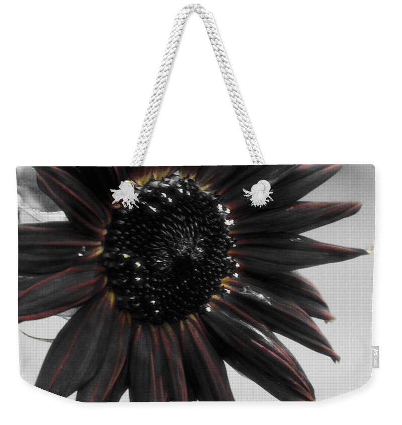 Sunflower Weekender Tote Bag featuring the photograph Hells Sunflower by September Stone