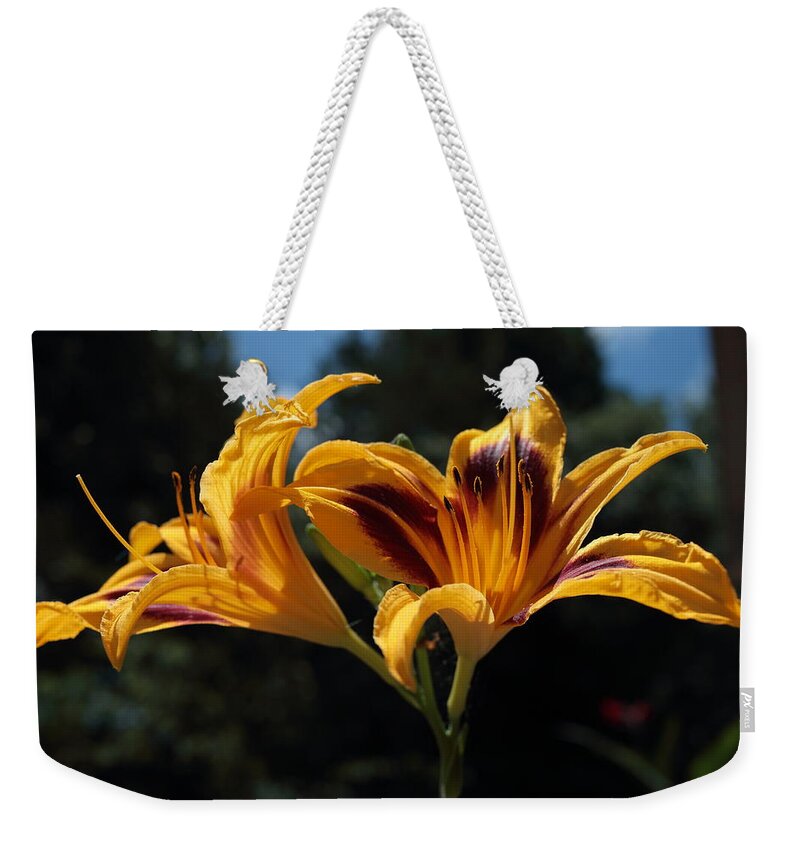 Day-lily Weekender Tote Bag featuring the photograph Hemerocallis by John Moyer