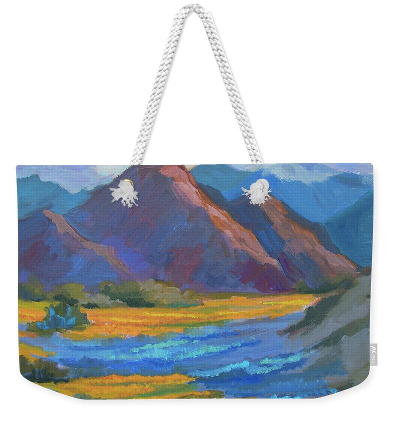 Desert Weekender Tote Bag featuring the painting Henderson Canyon Borrego Springs by Diane McClary