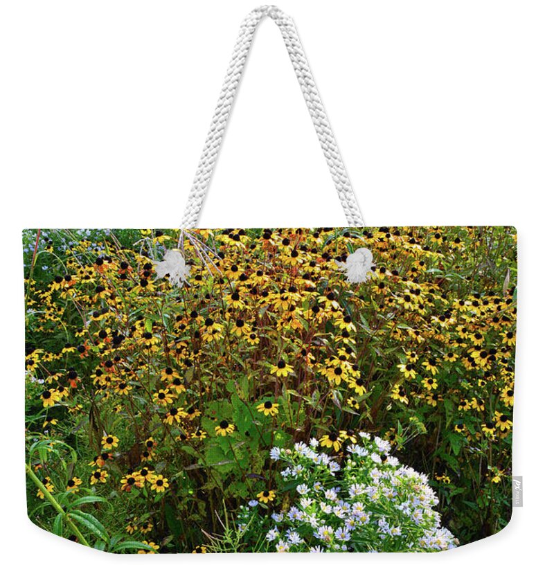 Mchenry County Conservation District Weekender Tote Bag featuring the photograph Hennen Conservation Area by Ray Mathis