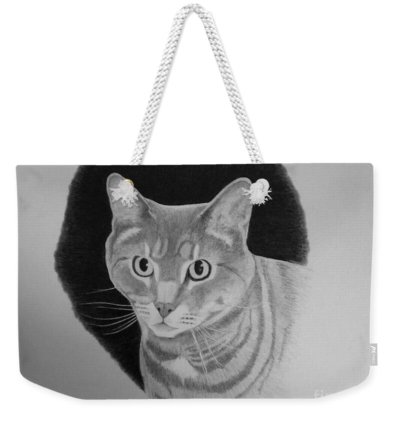 Cat Weekender Tote Bag featuring the drawing Henry by George Sonner