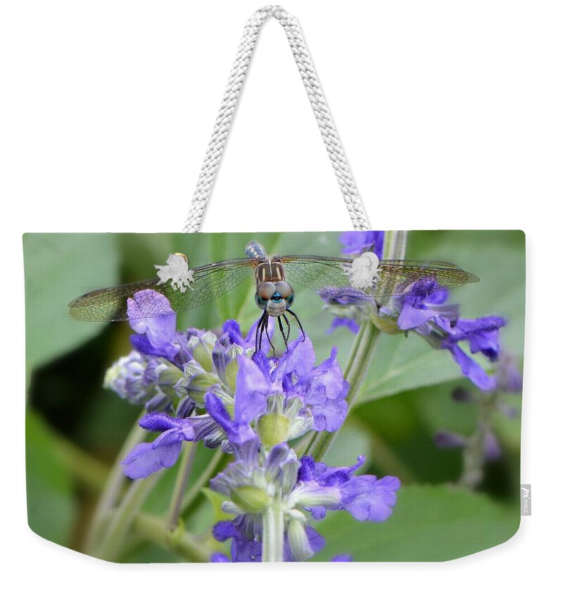 Dragonfly Weekender Tote Bag featuring the photograph Here's Looking At You Kid by Carolyn Mickulas