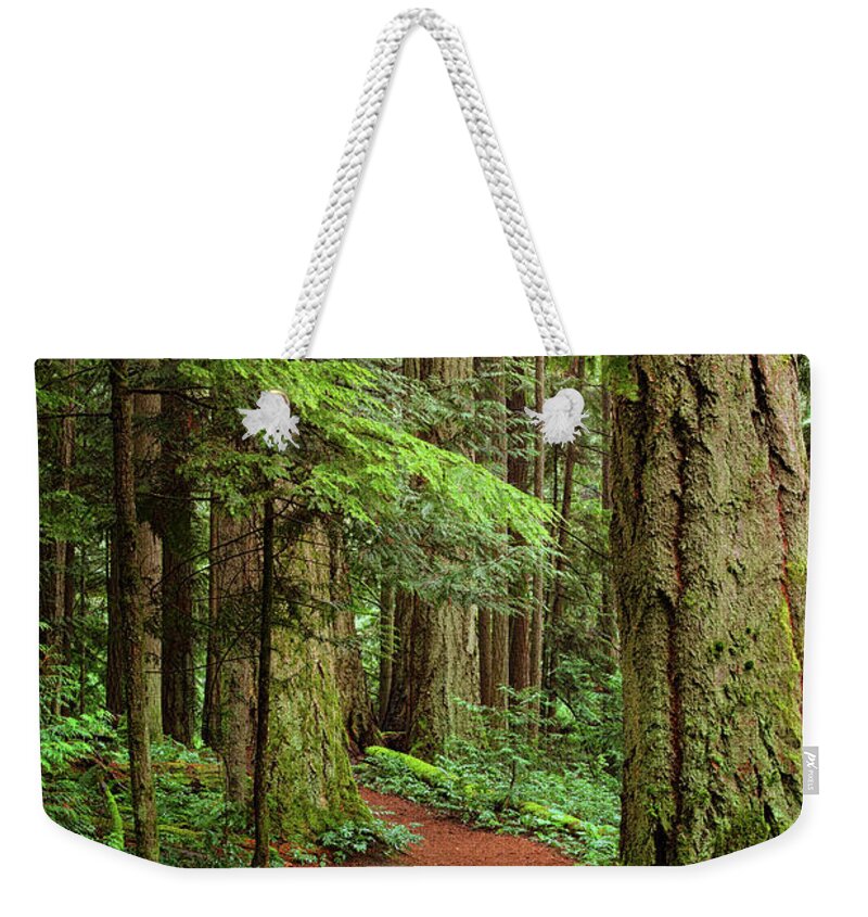 Forest Weekender Tote Bag featuring the photograph Heritage Forest 2 by Randy Hall