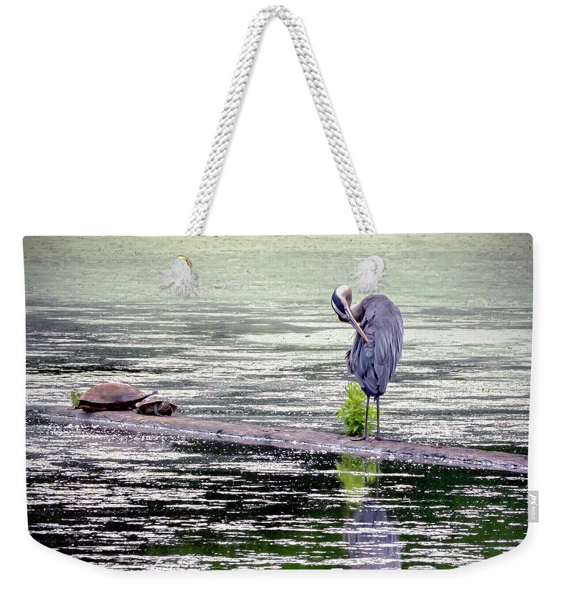 2d Weekender Tote Bag featuring the photograph Heron And Turtles by Brian Wallace
