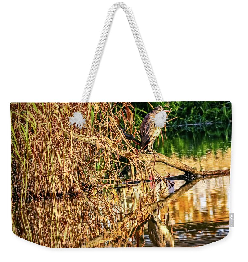 Heron Weekender Tote Bag featuring the photograph Heron in autumn #g9 by Leif Sohlman