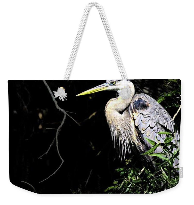 Heron Weekender Tote Bag featuring the photograph Heron in Dark by Stoney Lawrentz