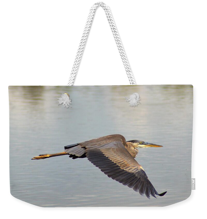 Heron Weekender Tote Bag featuring the photograph Heron in Flight by Kathy Kelly