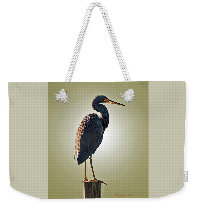 Wildlife Weekender Tote Bag featuring the photograph Heron on Post by T Guy Spencer