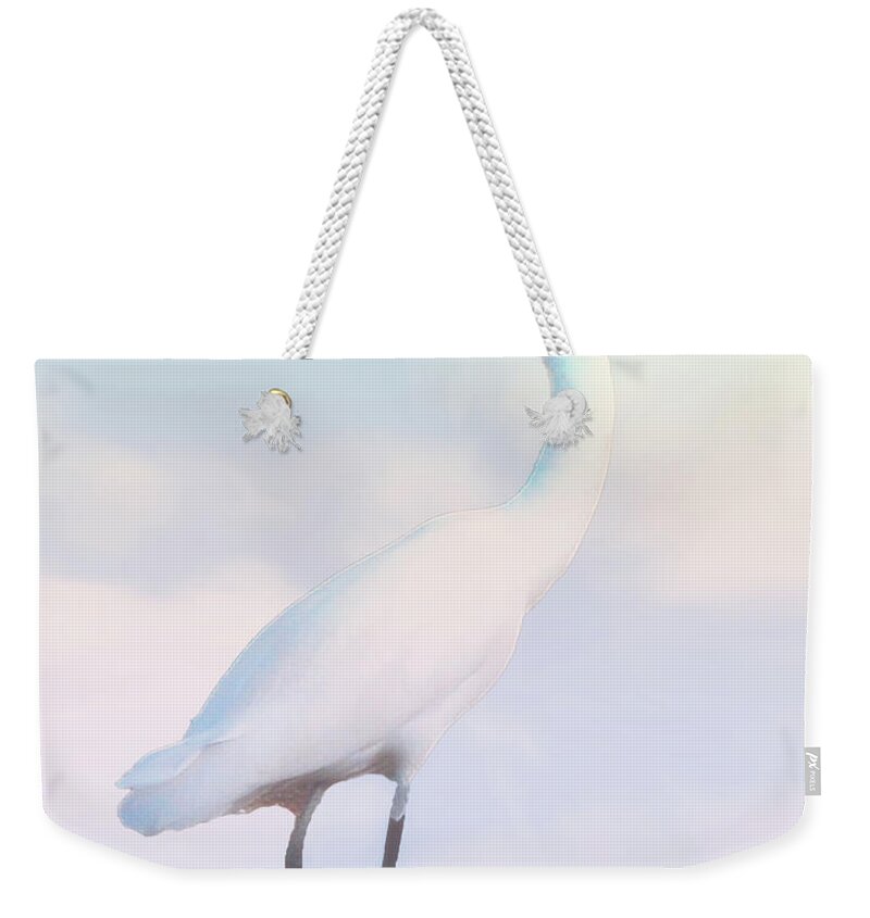 Heron Weekender Tote Bag featuring the photograph Heron or Egret Stance by Joseph Hollingsworth