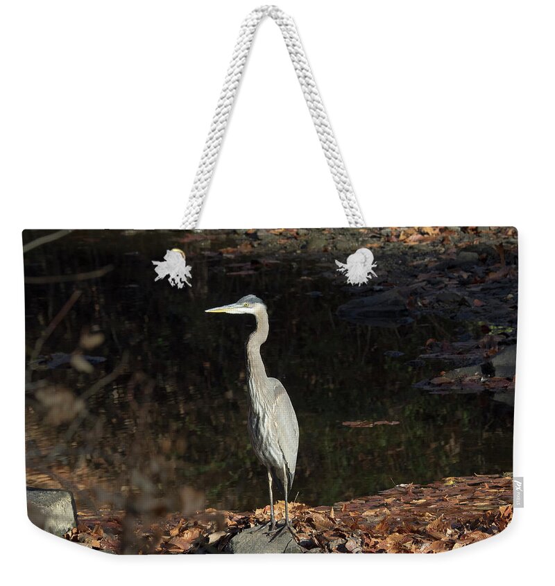 Birds Weekender Tote Bag featuring the photograph Heron by Paul Ross