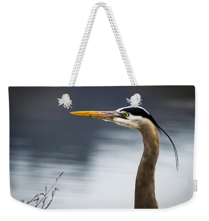 Birds Weekender Tote Bag featuring the photograph Heron Portrait by Jean Noren
