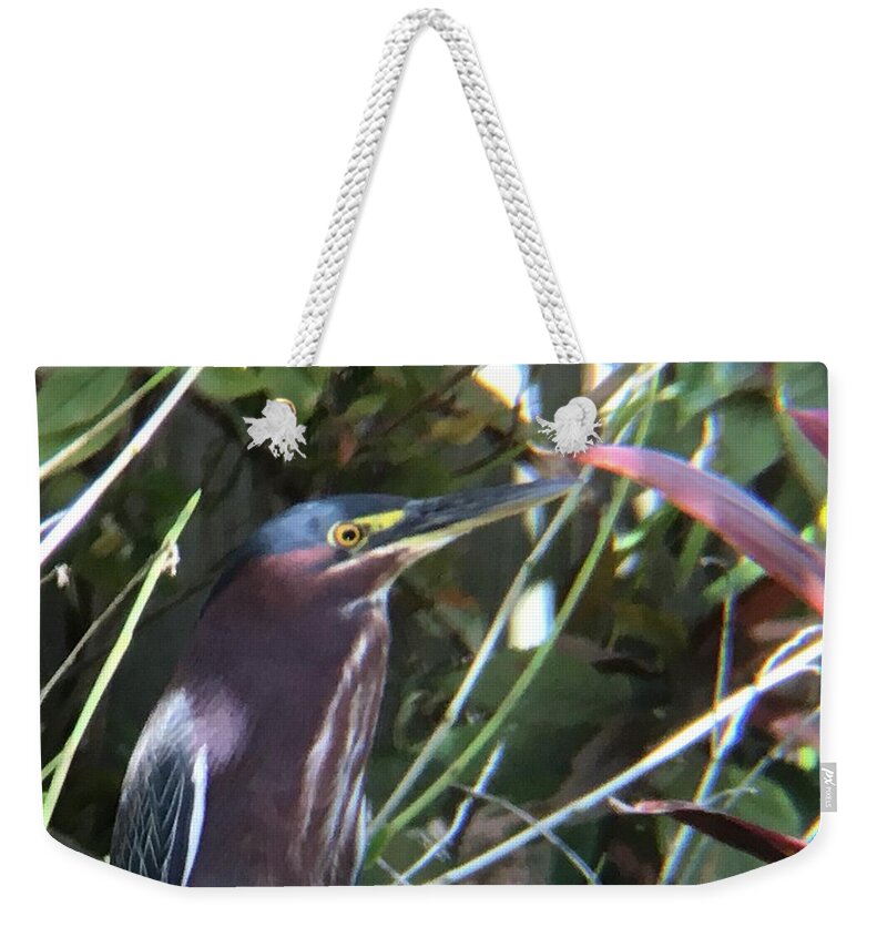 Heron Weekender Tote Bag featuring the photograph Heron with Yellow Eyes by Val Oconnor