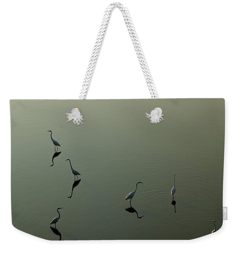 Heron Weekender Tote Bag featuring the photograph Herons on Lake 367 by Wesley Elsberry