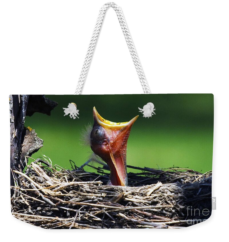 Bird Weekender Tote Bag featuring the photograph Hey I'm Happy Spring Is Here by Bob Christopher