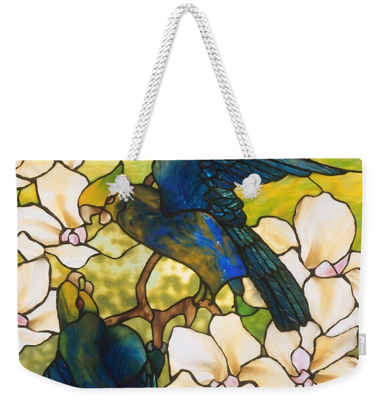 Hibiscus and Parrots Poster by Louis Comfort Tiffany - Fine Art America
