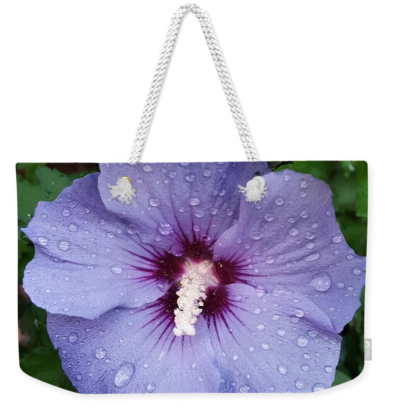 Flower Weekender Tote Bag featuring the photograph Hibiscus by Jim Harris
