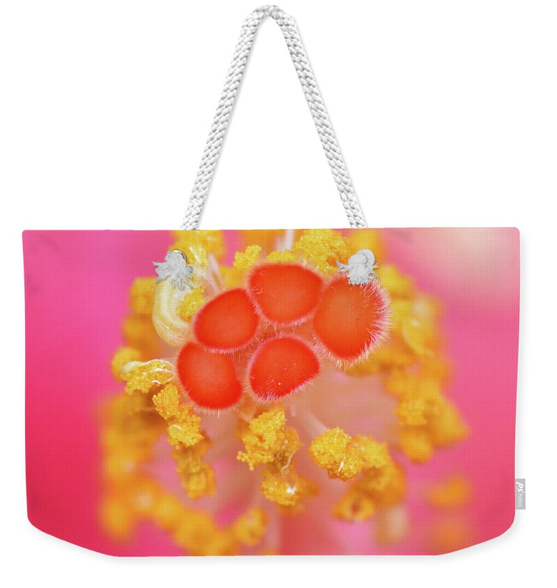 Hibiscus Weekender Tote Bag featuring the photograph Hibiscus stigma by Karen Smale