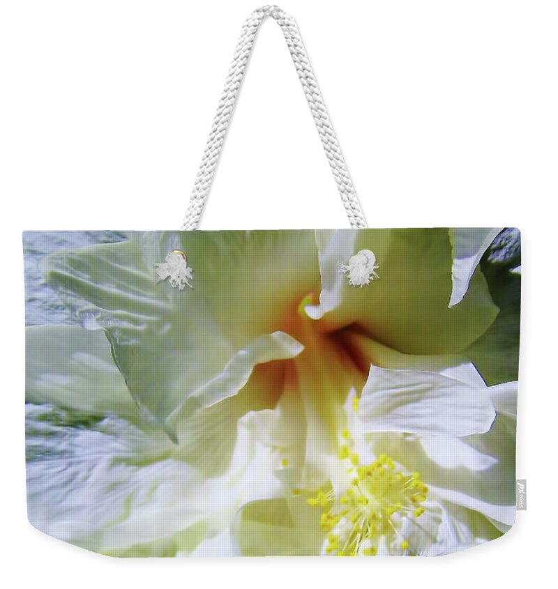 Hibiscus Weekender Tote Bag featuring the photograph Hibiscus White Beauty by D Hackett