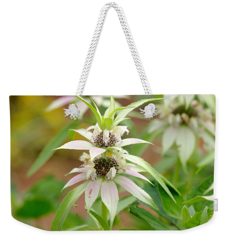 White Weekender Tote Bag featuring the photograph Hidden Beauty by James Smullins