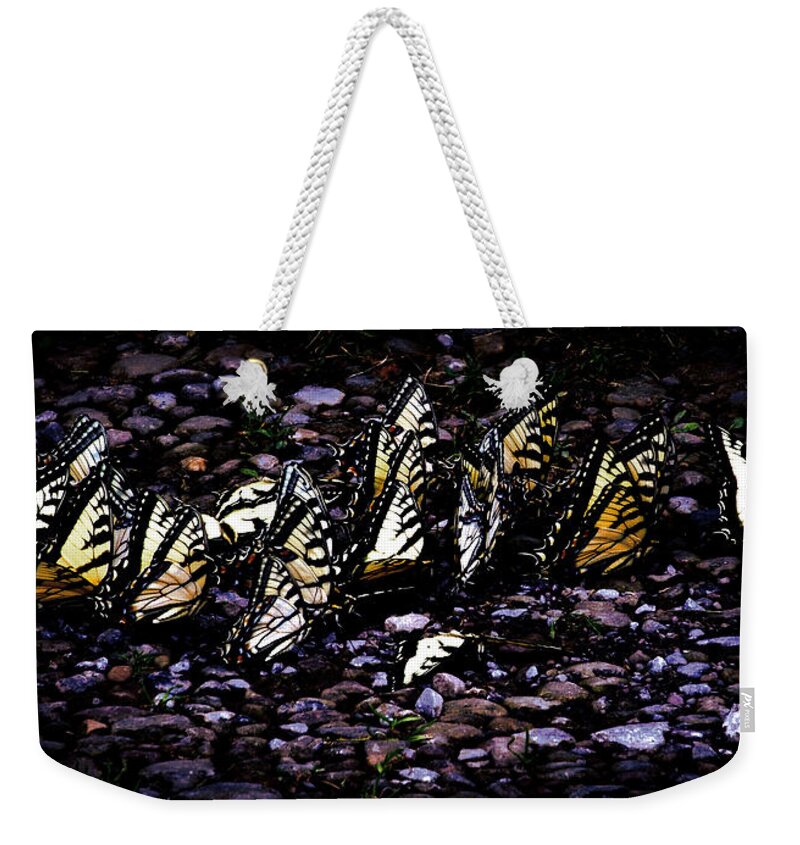 Black Weekender Tote Bag featuring the photograph Hidden Magic by Danielle R T Haney