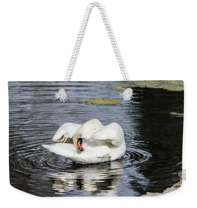 Cathy Donohoue Photography Weekender Tote Bag featuring the photograph Hide and Seek by Cathy Donohoue