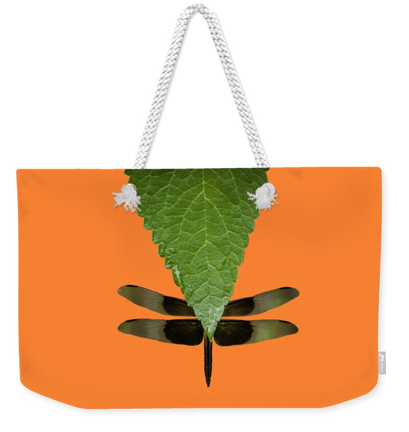 Johnson County Weekender Tote Bag featuring the photograph Hiding Dragons by Jeff Phillippi