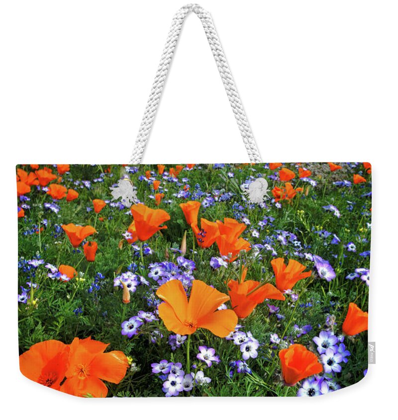 Wildflower Weekender Tote Bag featuring the photograph High Desert Wildflowers by Lynn Bauer