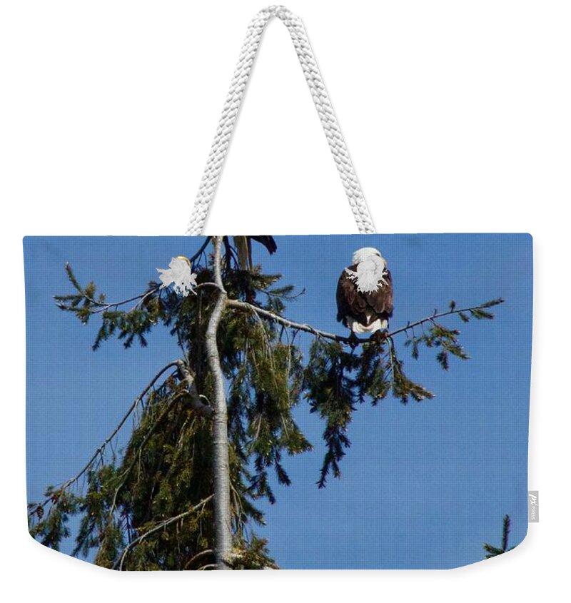 Photography Weekender Tote Bag featuring the photograph High Perch by Sean Griffin