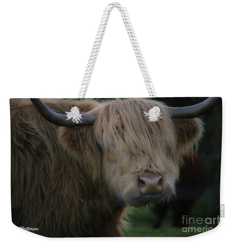 Highland Cattle Weekender Tote Bag featuring the photograph Highland Cattle Four by Veronica Batterson