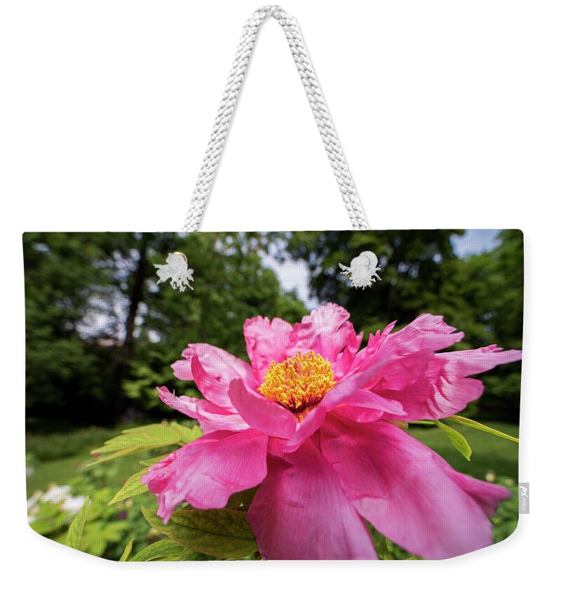 Highland Weekender Tote Bag featuring the photograph Highland Park Garden Rochester NY Purple Flower 2 by Toby McGuire