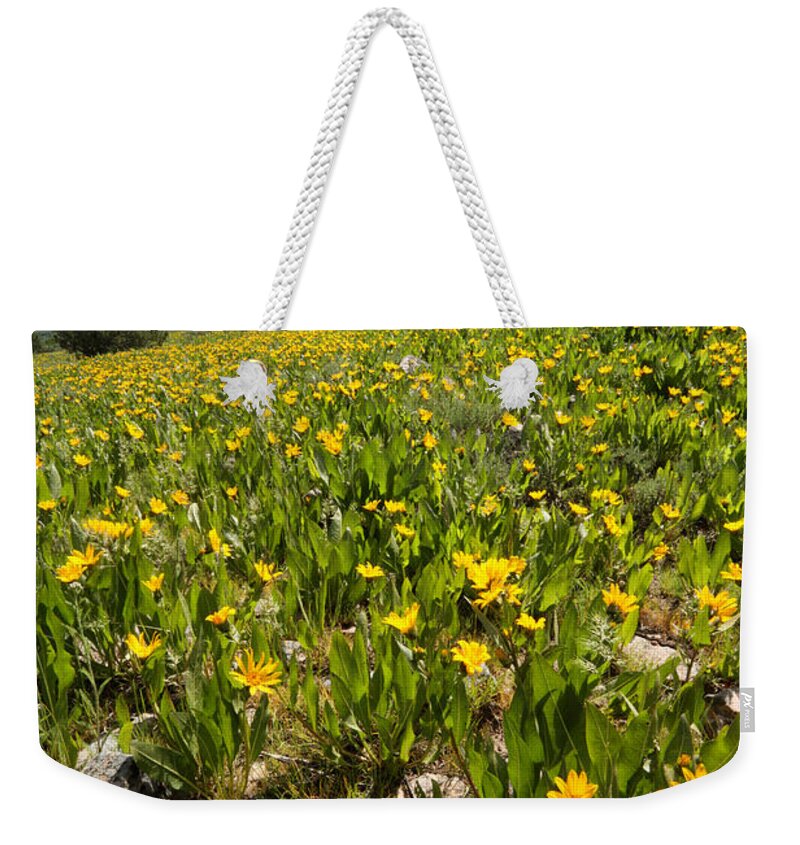 Flower Weekender Tote Bag featuring the photograph Hills of Yellow Flowers by Brett Pelletier