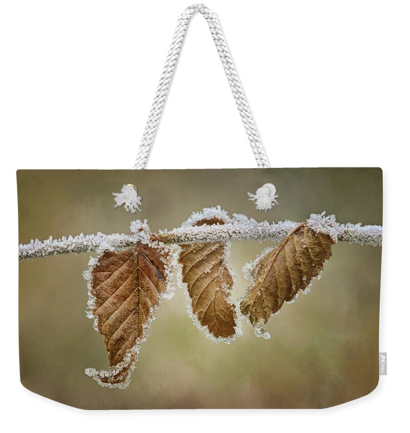 Hoar Frost Weekender Tote Bag featuring the photograph Hoar Frost - Leaves by Nikolyn McDonald