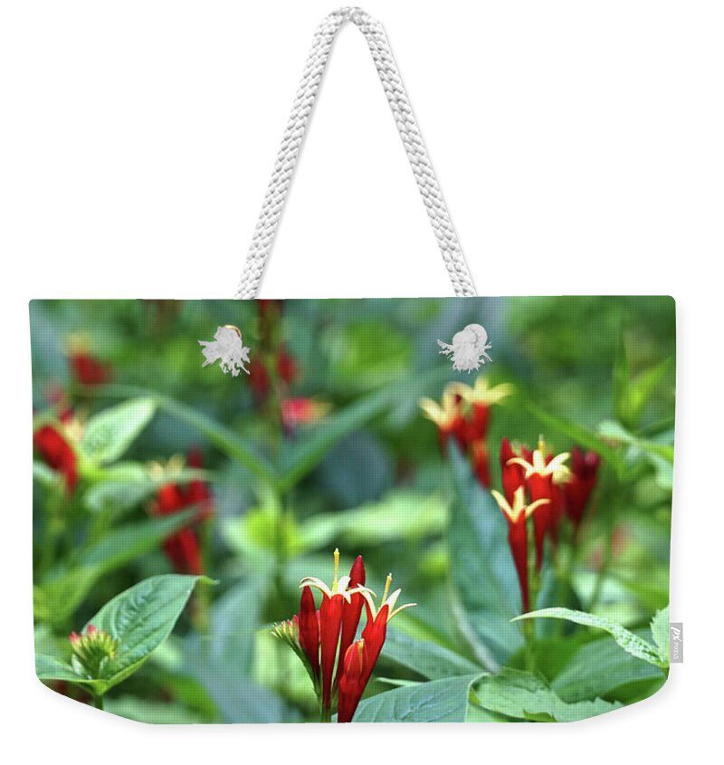 De Weekender Tote Bag featuring the photograph Hockessin, Mt. Cuba 08394 by Raymond Magnani