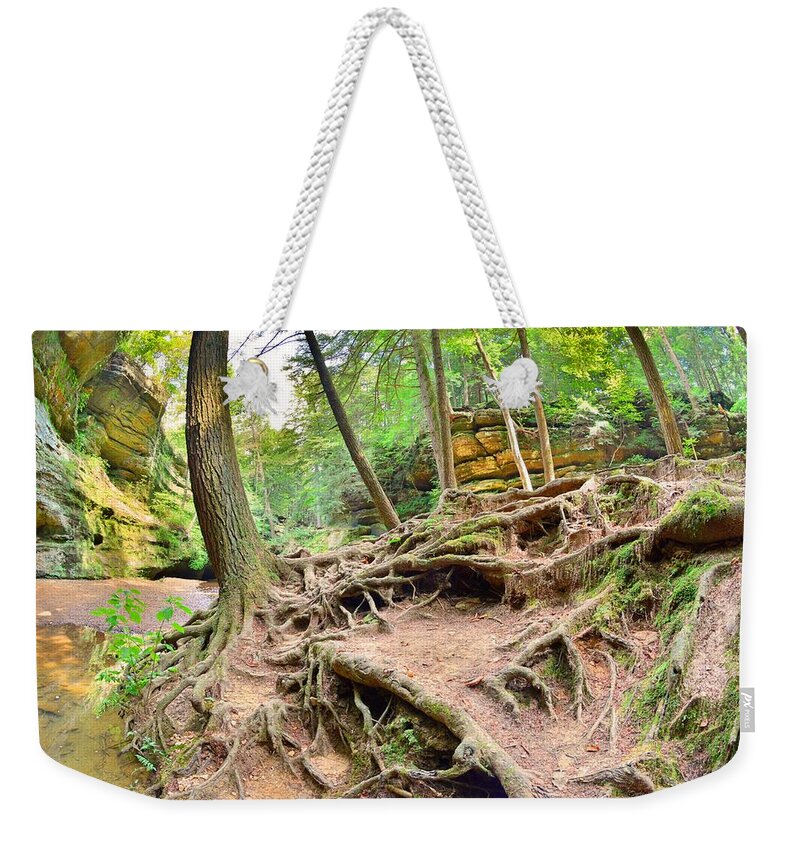 Hocking Hills Ohio Old Man's Gorge Trail Weekender Tote Bag featuring the photograph Hocking Hills Ohio Old Man's Gorge Trail by Lisa Wooten