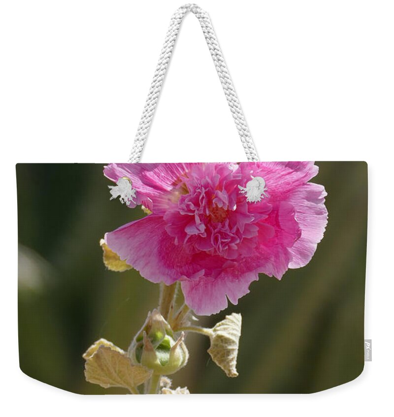 Nature Weekender Tote Bag featuring the photograph Hollyhock by Laurel Powell
