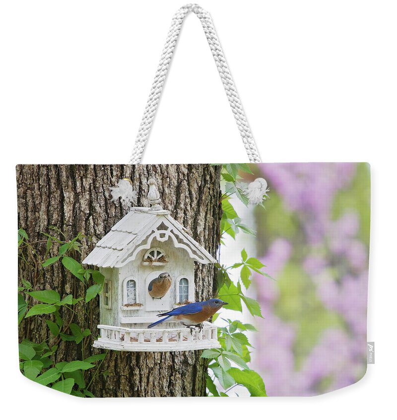 Bluebirds Weekender Tote Bag featuring the photograph Home Sweet Home by Eilish Palmer