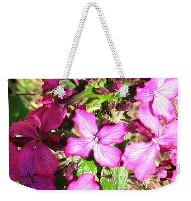Honesty Weekender Tote Bag featuring the photograph Honesty by Hazel Holland