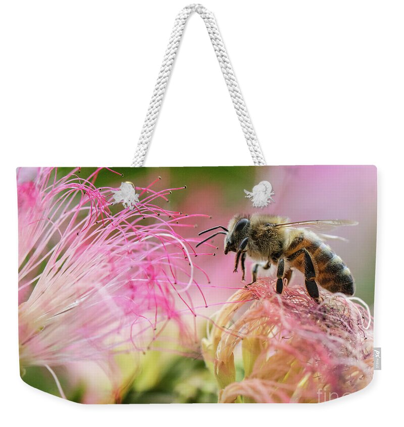Honey Bee On Mimosa Flowerhoney Bee In The Pink Weekender Tote Bag featuring the photograph Honey bee On Mimosa Flower by Mitch Shindelbower