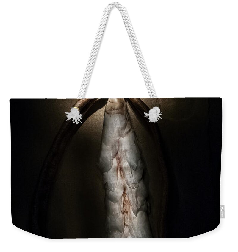  2013 Lou Novick Weekender Tote Bag featuring the photograph Hong Kong Orchid Seed Pod #3 by Lou Novick