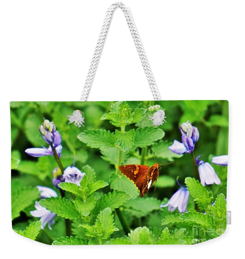 Flowers Weekender Tote Bag featuring the photograph Honing in by Merle Grenz